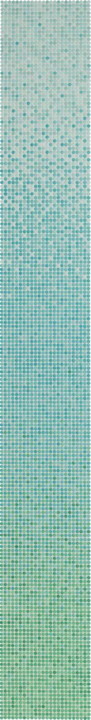 AWS Loop Multicolor glans 31x253