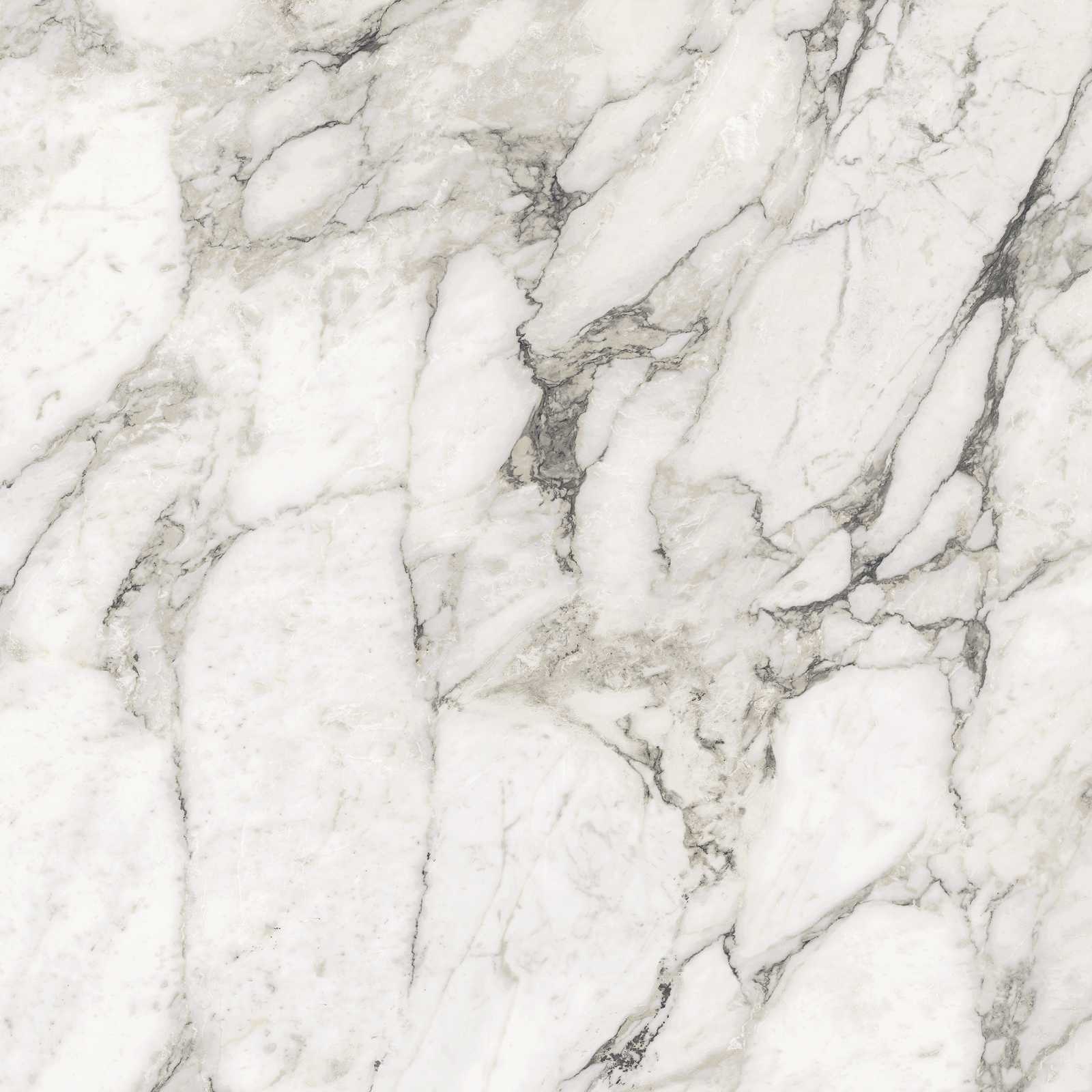Marazzi italie Grandemarble Wit glans 120x120