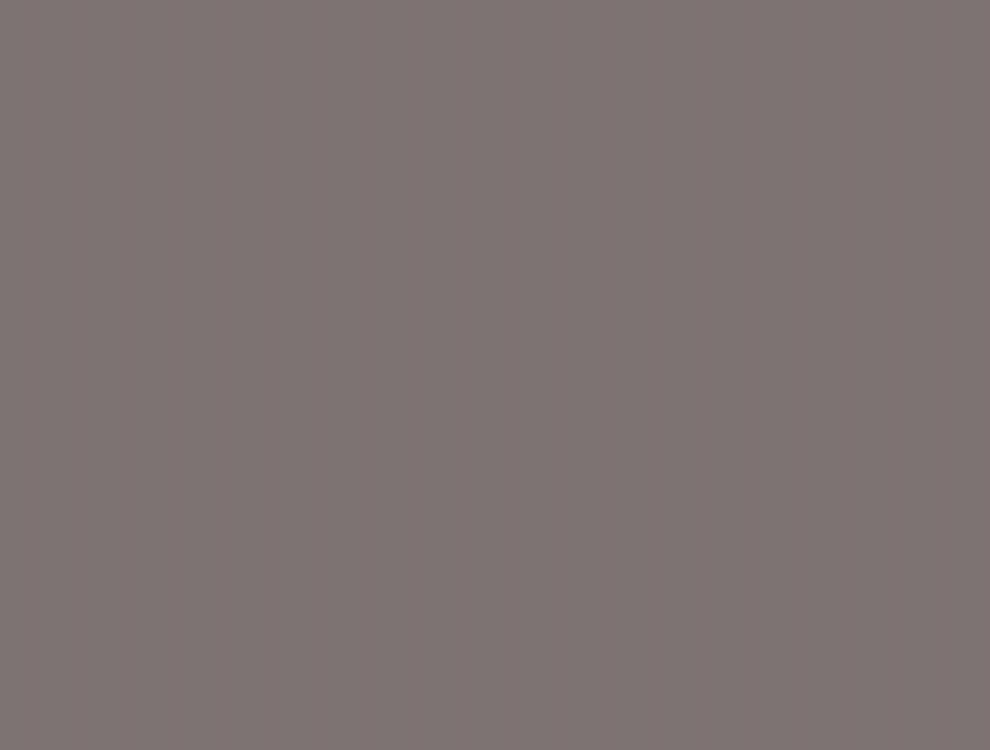 Rako Conceptplus Grijs glans 25x33