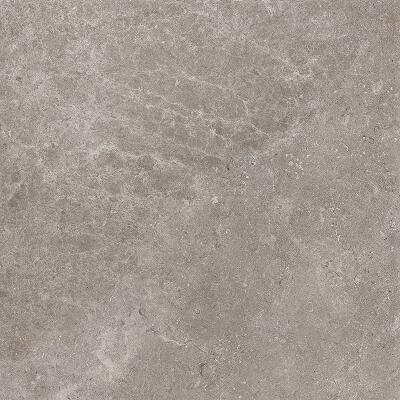 Villeroy & Boch Merida Grijs mat 60x60