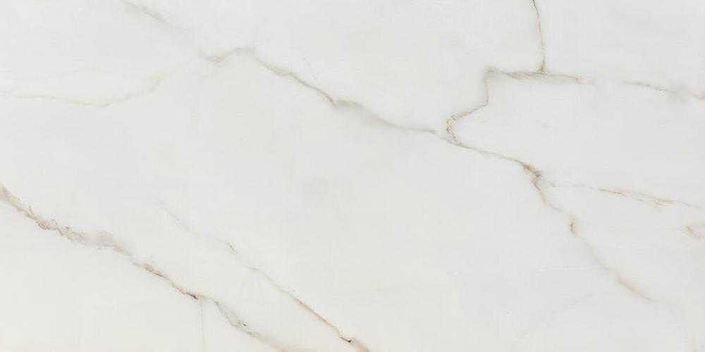 Rak Calacatta Wit mat 60x120