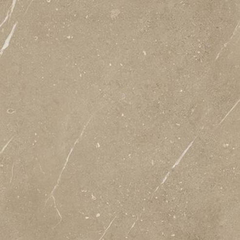 Rako Fly Bruin mat 60x60