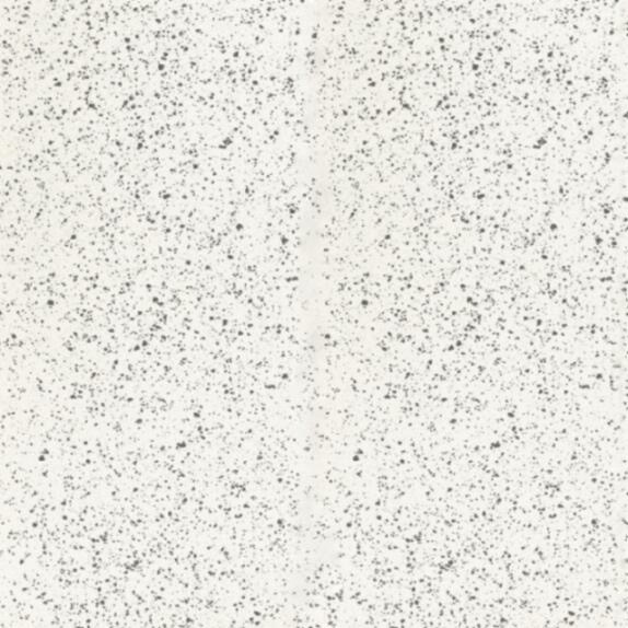 Iris Rialto Wit mat 120x120