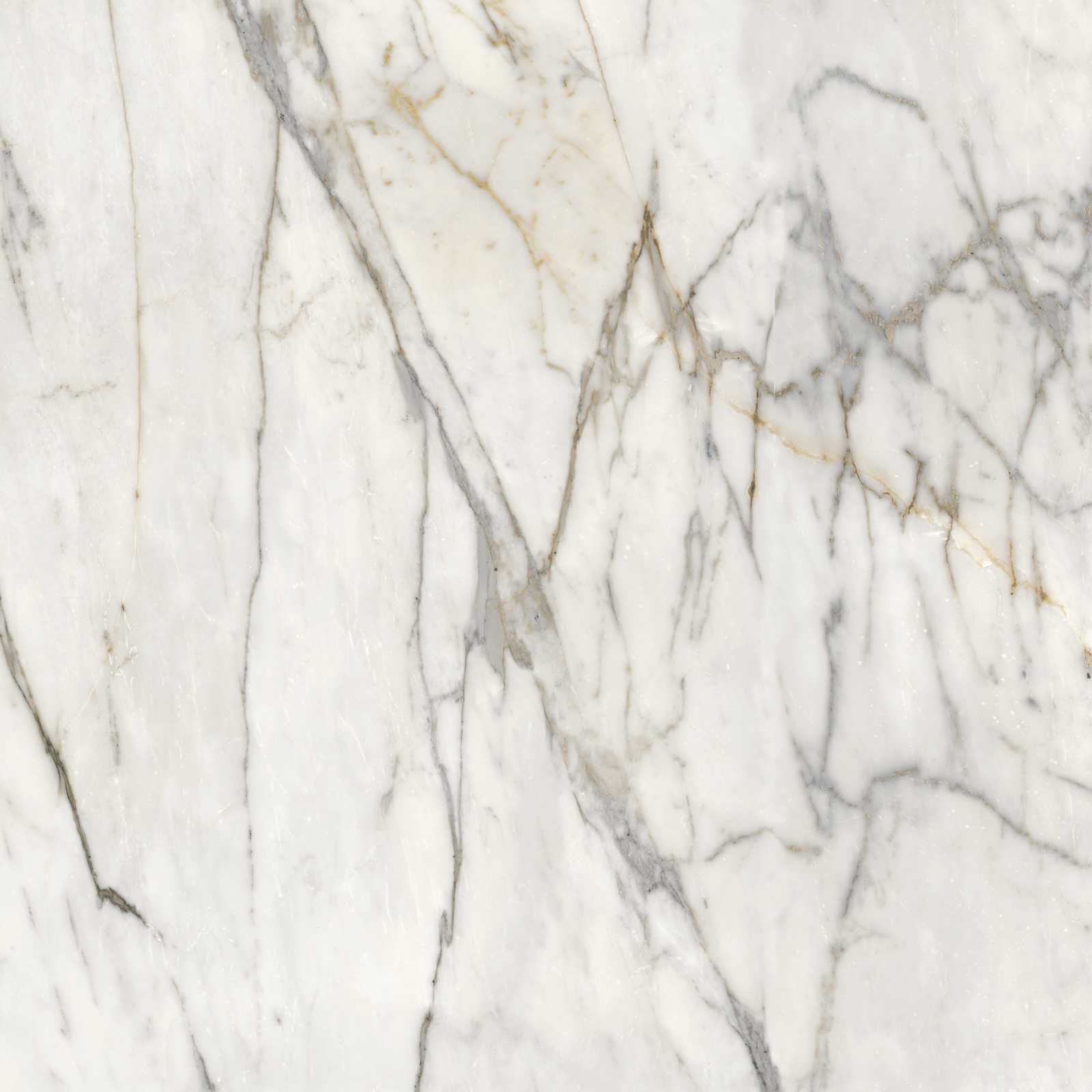 Marazzi italie Grandemarble Wit glans 120x120