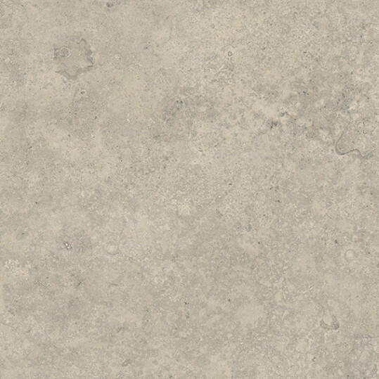Verde Jurassic Grijs mat 120x120
