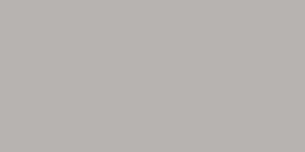 Rako Concept Grijs mat 30x60