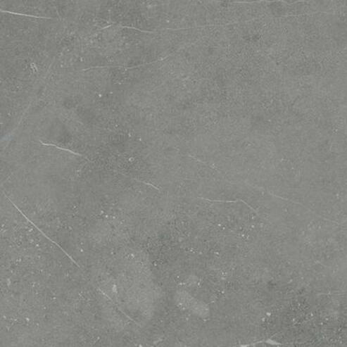 Rako Fly Grijs mat 80x80