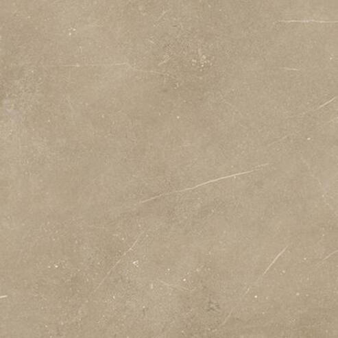 Rako Fly Bruin mat 80x80