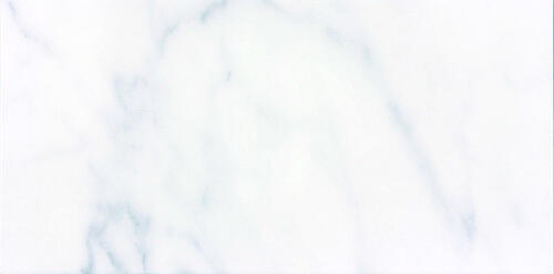 Rako Carrara Grijs glans 30x60