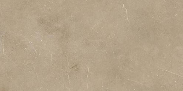 Rako Fly Bruin mat 60x120
