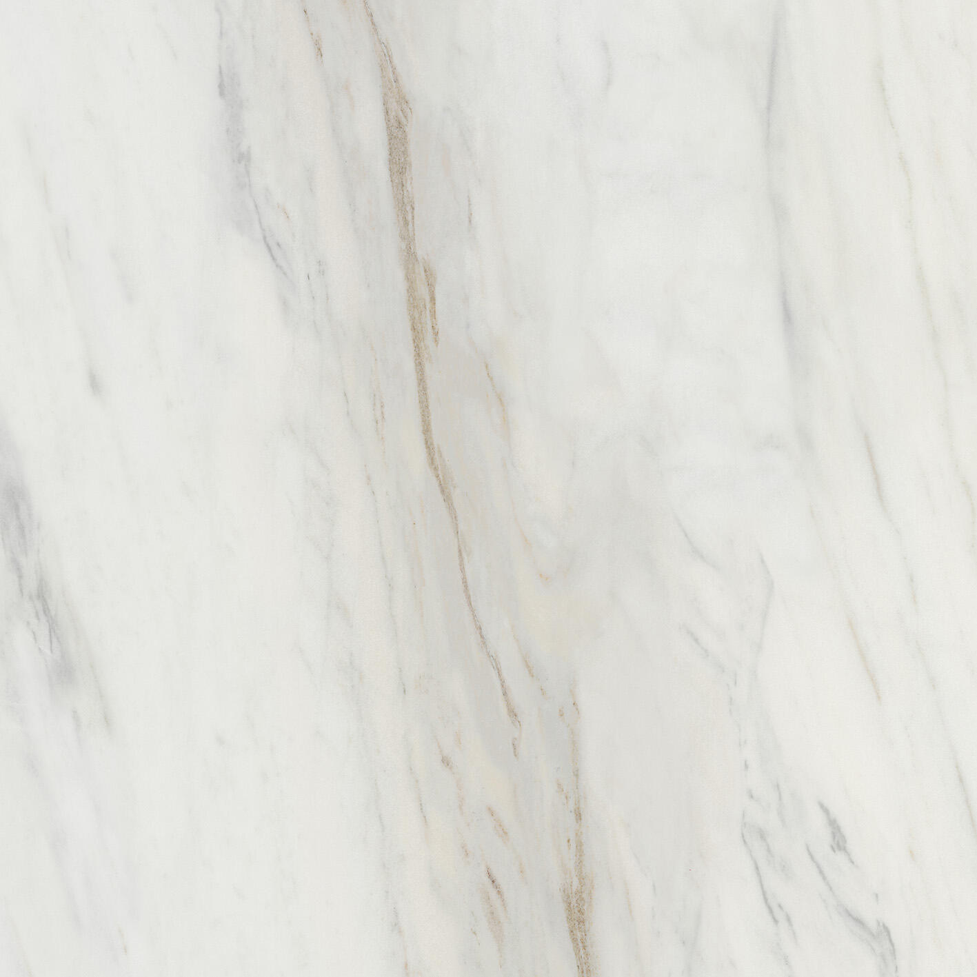 Villeroy & Boch Marble Selection Wit mat 120x120