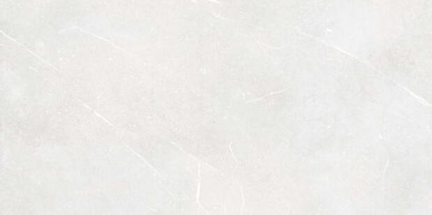 Rako Fly Grijs mat 60x120